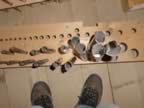 dsc00005.jpg (28kb)